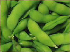 実は400種類以上あるとされる枝豆