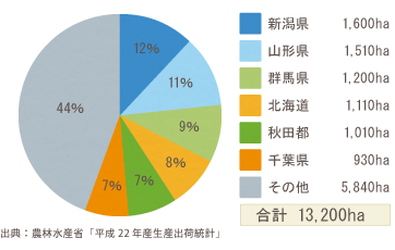 日本での枝豆の作付面積
